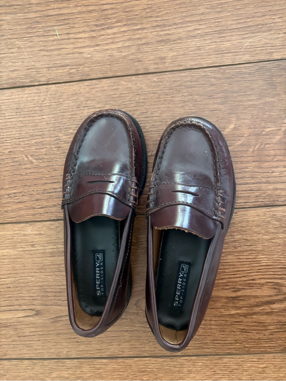 Sperry Men’s Classic Penny Loafers in Burgundy